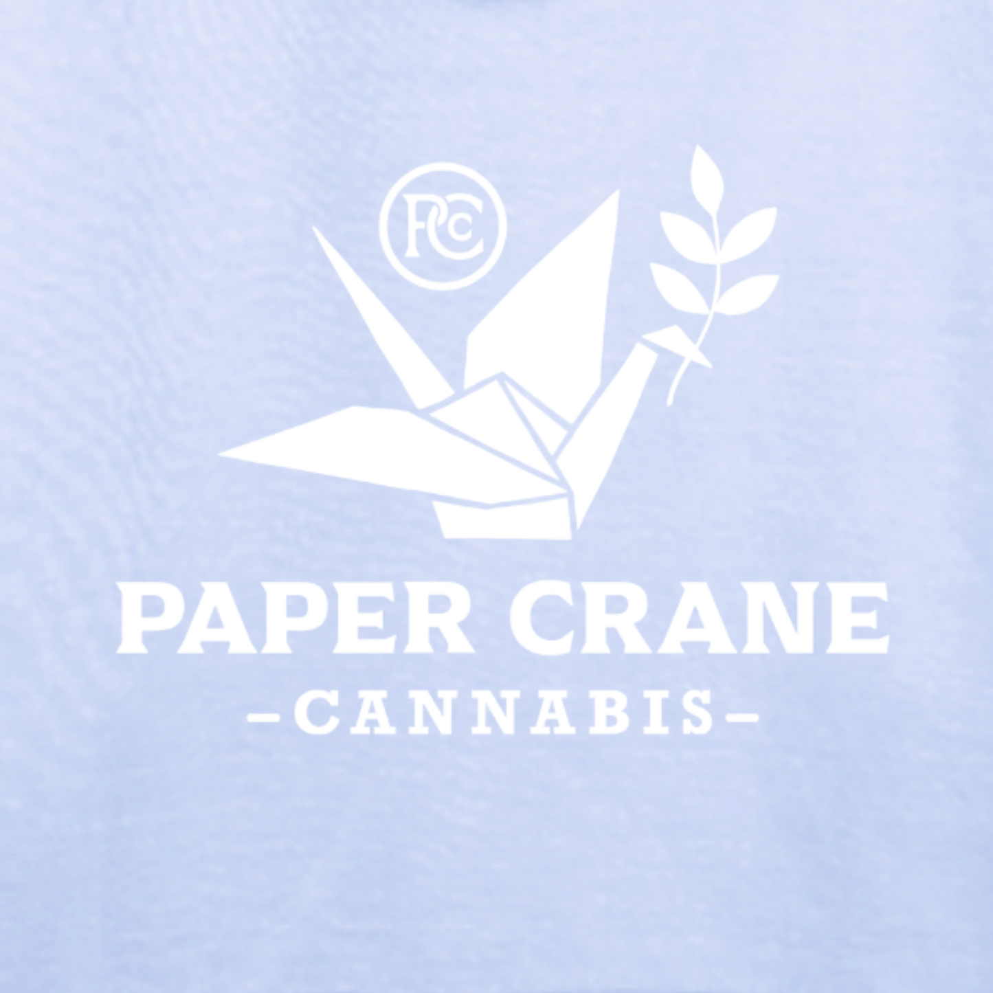 PC 10 Ounce Hoodie
