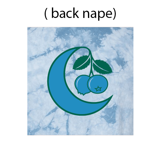 Blue Dream Tie Dye Tee