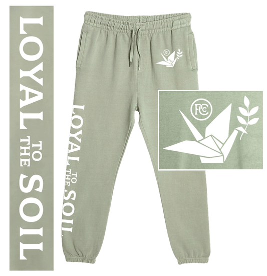 PC Lane 7 Pant