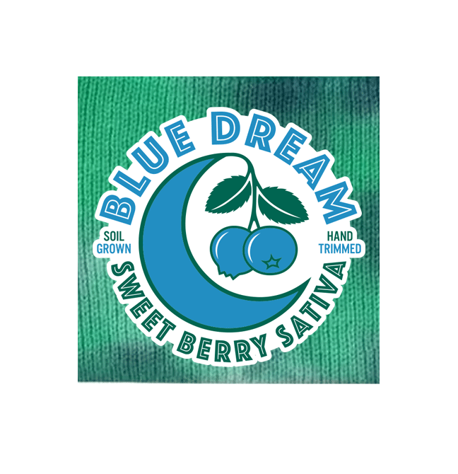 Blue Dream Tie Dye Ocean Beanie